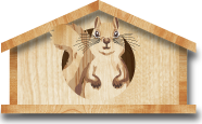 リスの小屋